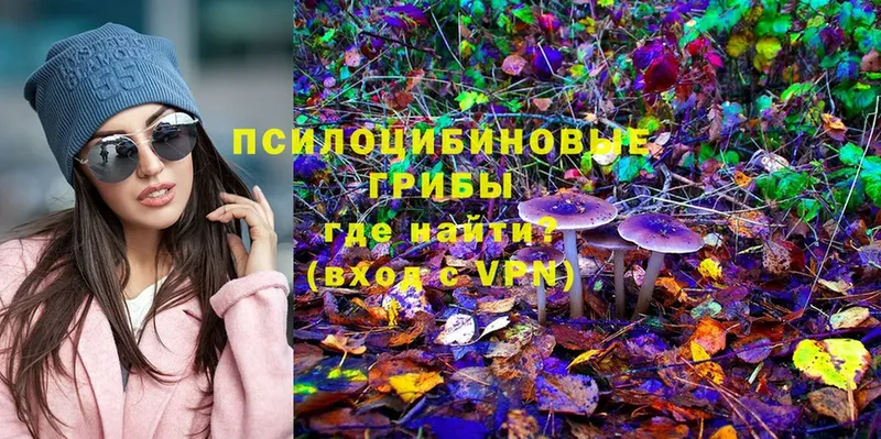 Галлюциногенные грибы Magic Shrooms  Болхов 